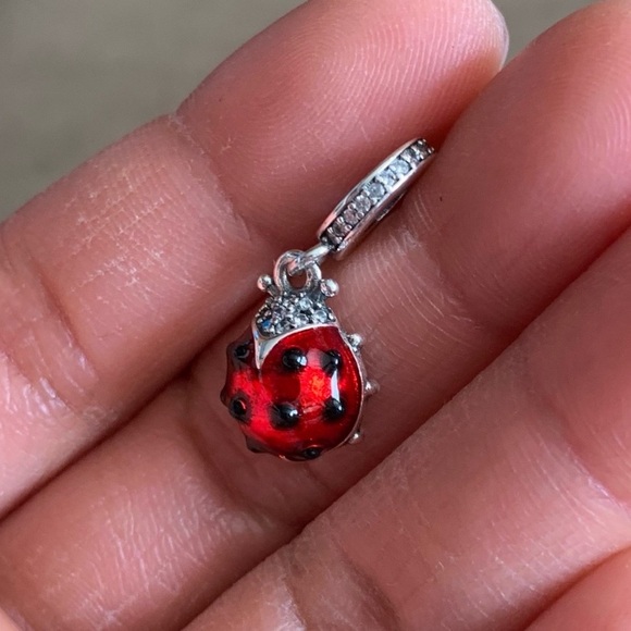 NWOT Red Ladybird Ladybug Dangle Charm - Picture 1 of 9